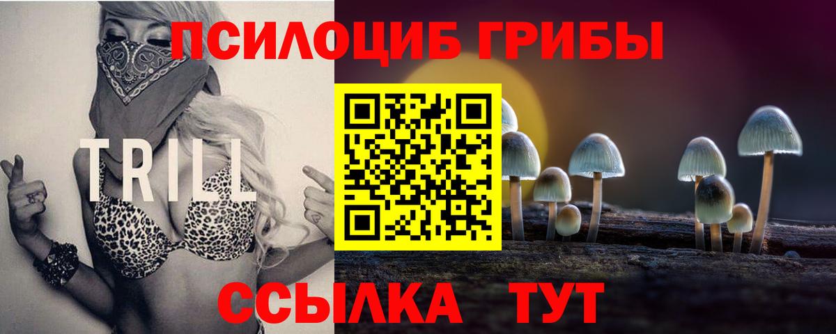 Галлюциногенные грибы мицелий Саяногорск