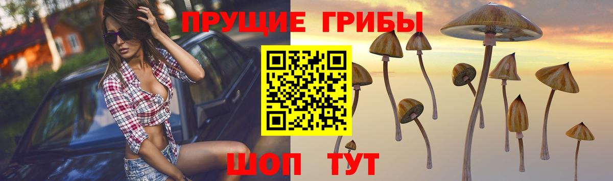Саяногорск  Галлюциногенные грибы Psilocybe  Вход с VPN  Псилоцибиновые грибы Psilocybine cubensis 